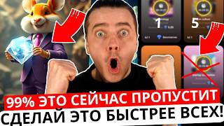 ⚠️ HAMSTER KOMBAT - СРОЧНО 🔴 99% ЭТО ПРОПУСТИТ! СДЕЛАЙ ЭТО ПРЯМО СЕЙЧАС ПЕРЕД ЗАПУСКОМ 2-ОГО СЕЗОНА!