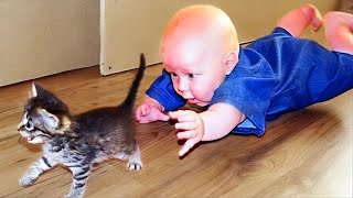 🔴 [LIVE] BABY - 30 minutes Funniest Babies Playing with Cats and Dogs Compilation 🐱🐱🐱 || Cool Peachy