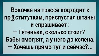 Как Вовочка На Трассу к Девахам Ходил! Сборник Свежих Анекдотов! Юмор!