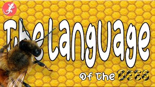 The Language of the Bees