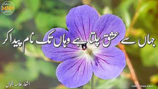 Heart Touching Shayari Status | Muhabbat Ki Tamanna Hai To Phir Wo Wast Paida Kar | shayari Status