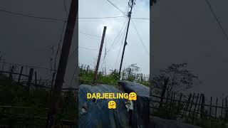 Darjeeling❤😎