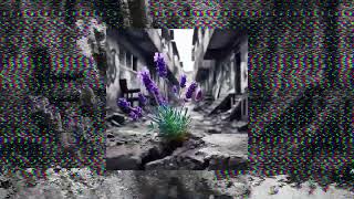 CAPITAL BRA – LAVENDEL (Visualizer) Prod: M61, JYDN