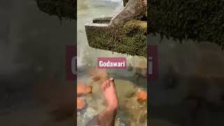 #godawari #water