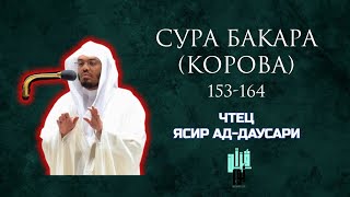 Красивое чтение Корана |  Ясир Ад-Даусари | Сура Бакара аяты 153-164