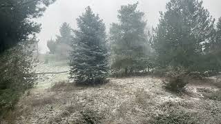 Snow Out My Back Window, Boise 3Mar2024