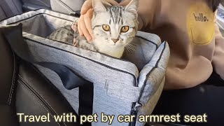 Cat Booster Seat Puppy Travel Car Carrier Bed