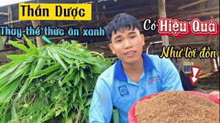 Thức Ăn Bã Bia Có Phải Là Thần Dược Cho Dê Vỗ Béo / Nongdan85