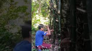 #ASMR #CuttingBamboo #shortvideo