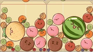 WATERMELON GAME - Monkey Land ( Qs Watermelon ) satisfying gameplay, Drop Fruit evolution #14