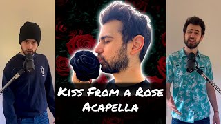 Kiss From a Rose - Acapella Builder (Seal Cover)