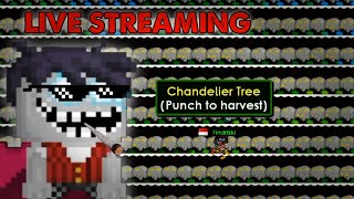 LIVE  GROWTOPIA - FARMING DULU AJA !!