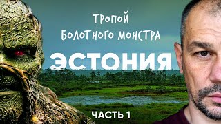 Сквозь эстонскую тайгу на велосипеде. Эстония.