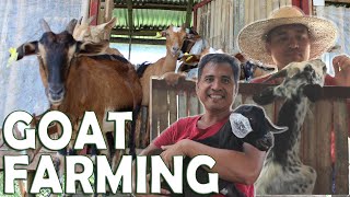 GOAT FARMING: Ang kwento ni Mang K