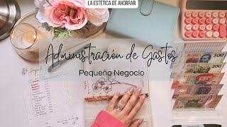 Administración de Gastos de mi Pequeño Negocio | Presupuesto + Relleno de Sobres