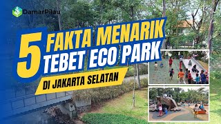 5 Fakta Menarik Tebet Eco Park