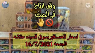 اسعار العصافير بسوق السيده عائشه الجمعه 16/7/2021