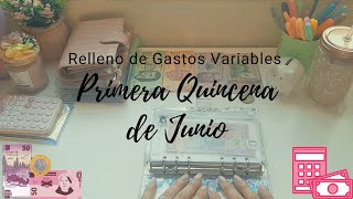 MIS GASTOS VARIABLES 1RA QUINCENA DE JUNIO | Relleno de mi cartera | Sistema de sobres