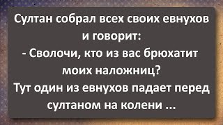 Злые на Передок Евнухи Великого Султана! Сборник Самых Свежих Анекдотов! Юмор!