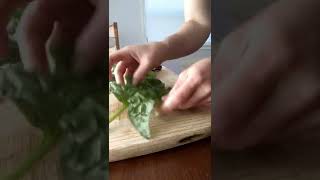 Destemming grown up spinach hack