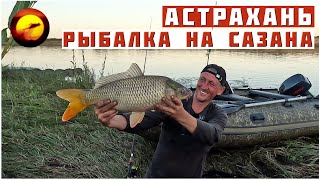 Астрахань! ТЕРРИТОРИЯ САЗАНА / Один на Идеальной Рыбалке