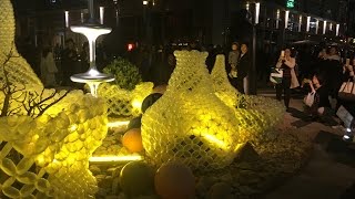 JAPANTRIP「六本木アートナイト　roppongi art nightTokyo」 【2016．10．22】