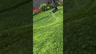 Subscribe for more #dadlife #family #lawncare