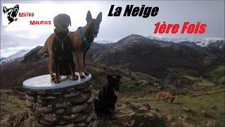 VLOG Lourdes & Pyrénées 2021