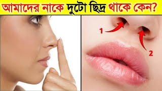 আমাদের নাকে দুটো ছিদ্র থাকে কেন? জানলে অবাক হবেন | Why Do We Have Two Nostrils