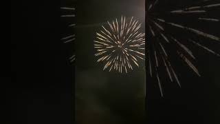 Whacky Tobacky 9 shots (Brothers Pyrotechnics)