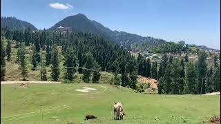 Swat Valley Latest View 2021 | KUP Digital