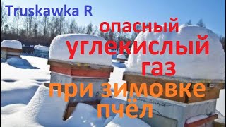 #пчёлы. Нижние летки на зиму. Открывать и насколько. влияние СО2 на зимовку пасеки.