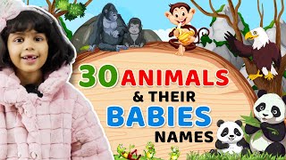 Animals' & their 👶 babies Names | KIDS English Vocabulary | Adi Keshari English Connection