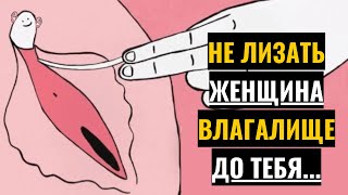 Не делайте этого, пока не... | Психологические факты, которые вас поразят | Факты о психологии