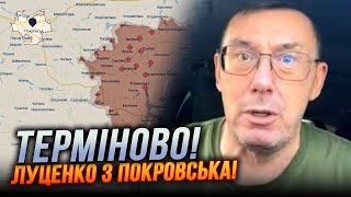 🔴ЛУЦЕНКО: Увиденное в Покровске меня поразило! Власть провалила главную задачу! СИТУАЦИЯ СЛОЖНАЯ