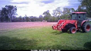 Laser grading