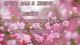 Пусть вам в жизни везёт!🌺Мира! Добра! Благополучия!🌺