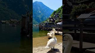 Beautiful Hallstatt, Austria 🇦🇹      #youtubeshorts#shorts#austria#travel     #lake