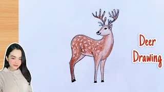 How to draw a Deer step by step very easy | Cute Deer drawing | Easy way to draw Deer