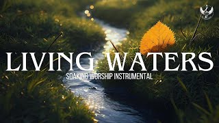 Living Waters - Soaking Worship Instrumental | Prayer and Devotional