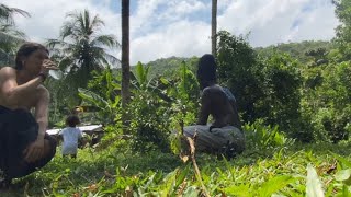 @DreamyYoga PICKING BREADFRUIT, Cutting JELLY WATA , Asmr Nature