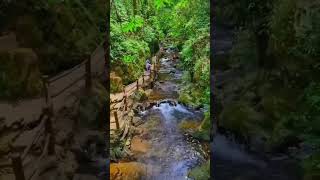 #WaterStream #water #stream #asmrvideo #asmrsounds #asmr #viral #rain #ytshorts #shorts #nature