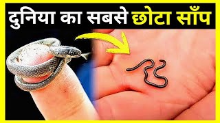 नसीब लगता है इस साँप को देखने के लिए | world's smallest snake, #Shorts