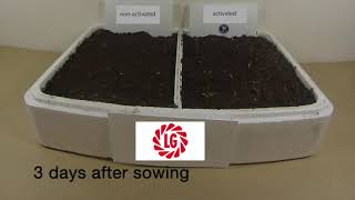 Limagrain Seeds | How to jump-start your seed germination | Time-lapse video