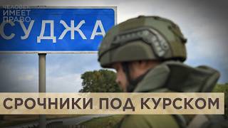 Сколько солдат-срочников погибло и попало в плен в Курской области?