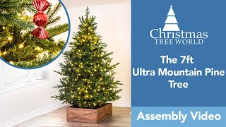 Christmas Tree World - The Ultra Mountain Pine Tree features video