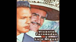 Motivos Vicente Fernández y Luis Miguel