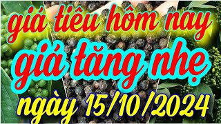 giá tiêu hôm nay ngày 15/10/2024