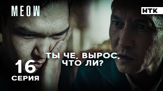 Не быкуй, по-хорошему реши | MEOW - 16 серия [4K]