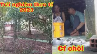 CAFE CHÒI | Chuyến đi trải nghiệm cafe chòi 2023 cùng em gái Miền Tây.